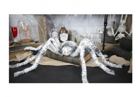 Αράχνη με τιγρέ τρίχωμα για Halloween πάρτυ