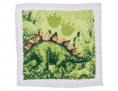 Dinosaur magic towel
