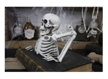 Decorative half skeleton for a table decoration in a Halloween party