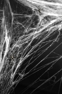 White spiderweb with black spiders