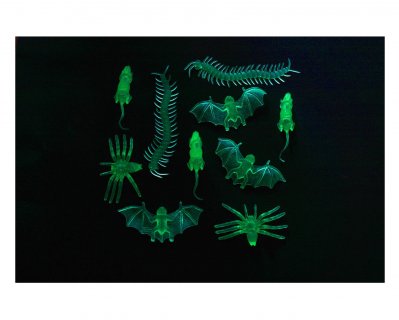 Plastic insects that glows in the dark (10pcs)