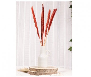 Decorative pampas in red color