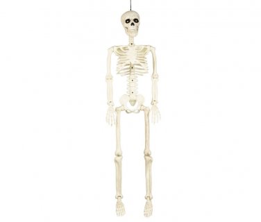 Κρεμαστός διακοσμητικός σκελετός 160εκ