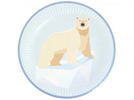 polar-bear-large-paper-plates-party-supplies-for-boys-aak0675