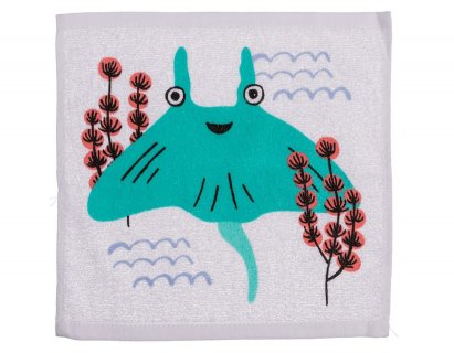 Ray magic towel