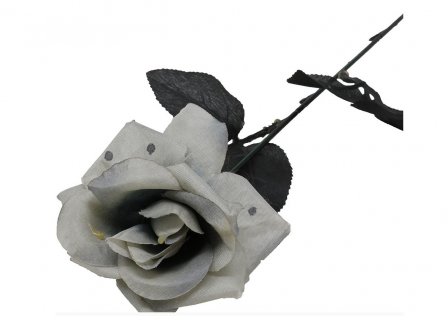 Artificial rose on grey color for a Halloween party