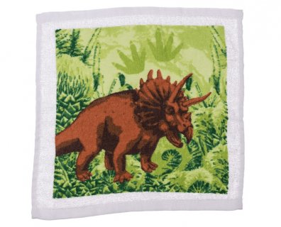 Triceratops magic towel
