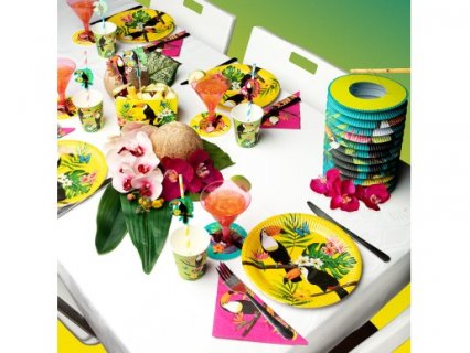 toucan-parrots-large-paper-plates-themed-party-supplies-52577