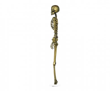 Gold skeleton for a Halloween theme party decoration