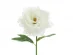 White peony artificial flower 35cm