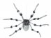 Μεγάλη διακοσμητική αράχνη με κίνηση 90εκ