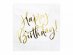 white-luncheon-napkins-with-gold-foiled-happy-birthday-color-theme-party-supplies-sp3379008
