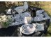 Large paper plates in white color with black musical notes print