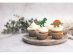 Party and candy bar accessories, decorative picks with dinosaurs theme