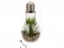 Διακοσμητική λάμπα με τεχνητό φυτό και φωτάκι LED