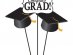 Congrats Grad Centerpiece Sticks 3/pcs