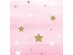 Twinkle Little Star Pink Paper Treat Bags 10/pcs