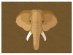 elephant-paper-placemat-for-the-table-aak0626