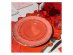 Reusable elegance plastic large plates in pink color