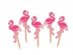 Flamingo decorative picks 25pcs