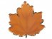 Autumn leaves shaped paper plates