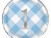 blue-gingham-large-paper-plates-for-boys-first-birthday-74935