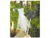 Cake toppers for the wedding cake decoration with the bridal dress and the groom tuxedo