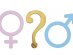 Girl or Boy ξύλινα κομφετί για το τραπέζι 10τμχ