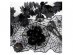 Decorative garland with fabric leaves in black color