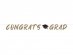 Golden Congrats Grad garland 244cm