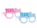 Team girl and team boy paper glasses 6pcs