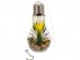 Hanging glass bulb decoration with succulent plant and LED light