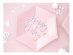 Pink hexagonal paper plates with Happy Birthday holographic print