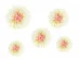 Ivory tissue decorative flowers 5pcs
