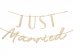 Just Married wooden garland 300cm