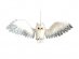 Hanging decoration the owl of Harry Potter 70cm x 25cm
