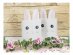 Paper bags with handles for gifts with Bunny theme