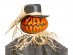 hanging-decoration-pumpkin-scare-crow-for-halloween-party-10042