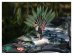 Wooden centerpiece table decoration for a tropical and parrots theme party