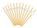 Daisies paper straws 12pcs