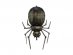 black-spider-supershape-balloon-fb117