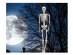 Large size skeleton in natural color fof Halloween decoration