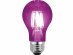 Purple Led bulb 5W