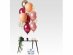 Latex balloons in ruby, rose gold, gold, peach and clear color with confetti print for party decoration