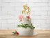 Wedding cake topper with Mr and Mrs letters in gold metallic color