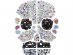 Skull box with bead for DIY bracelets 270pcs