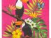 toucan-parrots-luncheon-napkins-themed-party-supplies-52579
