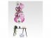 Latex balloons in hot pink, pink nd white color with Happy B.Day and Party Queen print