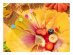 Decorative picks with colorful flowers