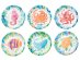 Colorful ocean small paper plates 6pcs